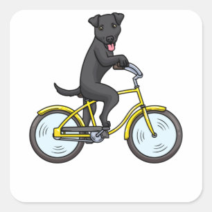 Adesivo Quadrado Patterdale Terrier Dog