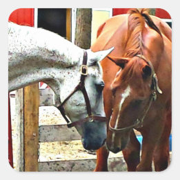 Adesivo Quadrado Pau de Cavalo dos Melhores Amigos