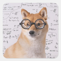 Pau quadrado do professor Barkley (brilhante)