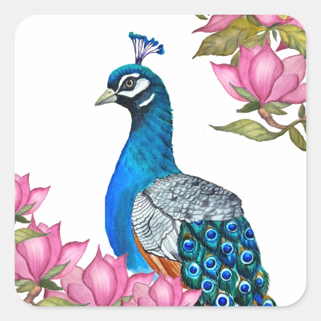 Adesivo Quadrado Pavão de Aquarela (Frente)