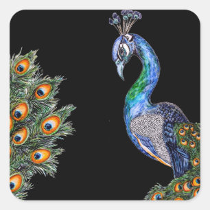 Adesivo Quadrado Pavão em Aquarela Elegante