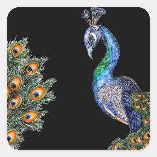 Adesivo Quadrado Pavão em Aquarela Elegante