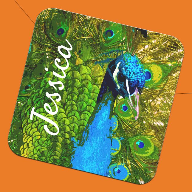 Adesivo Quadrado Pavão Vibrante + Nome Azul Brilhante Penas Verdes (Bright Peacock bird exotic animal personalized sticker)