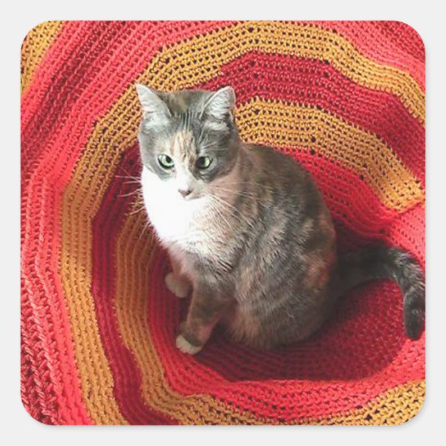 Adesivo Quadrado Pearl Cat no Afeganistão (Frente)