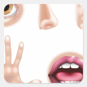 Adesivo Quadrado Peças Corpo De Cinco Sentidos