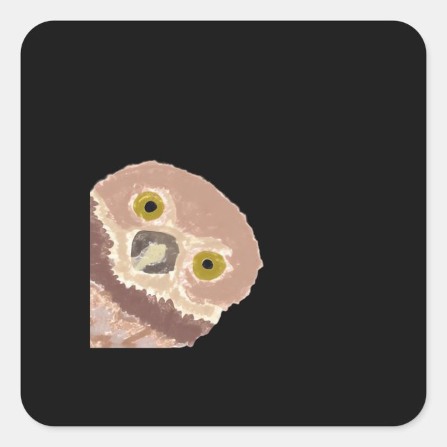 Adesivo Quadrado Peekabo Engraçado Design De Halloween (Frente)