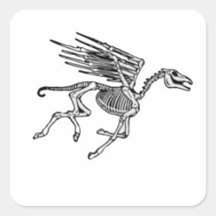 Adesivo Quadrado Pegasus Skeleton on Women's Plus