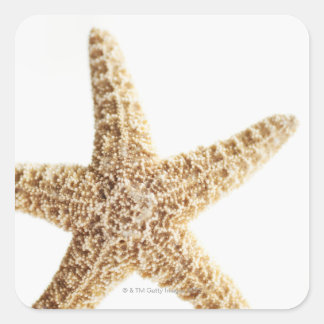 Adesivo Quadrado Peixe-estrela