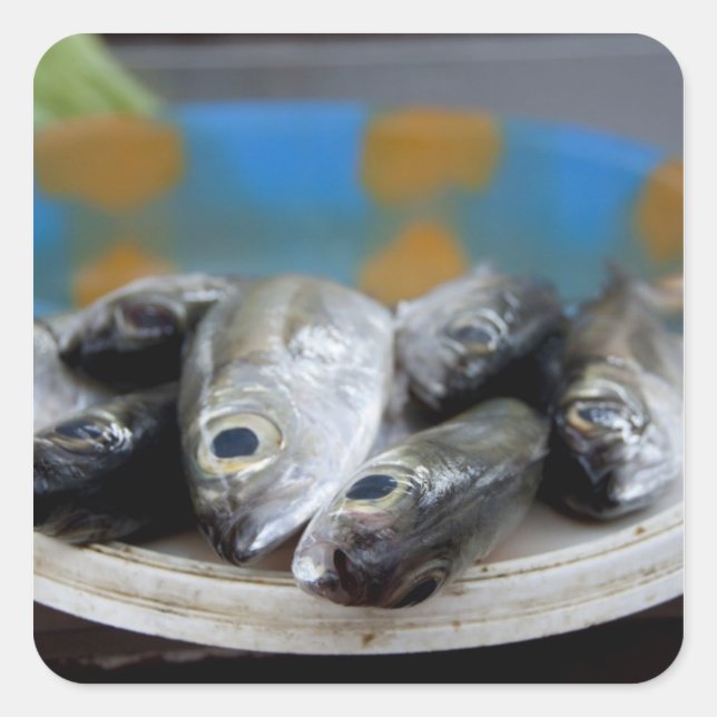 Adesivo Quadrado Peixe fresco no mercado do peixe), (Frente)