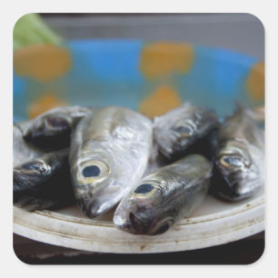 Adesivo Quadrado Peixe fresco no mercado do peixe (Mercado de Peixe