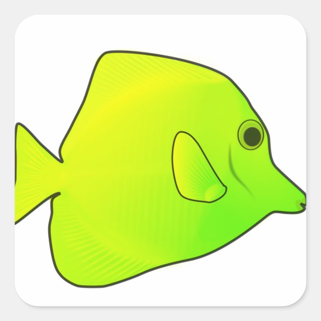 Adesivo Quadrado Peixe-Vara Quadrado (Frente)