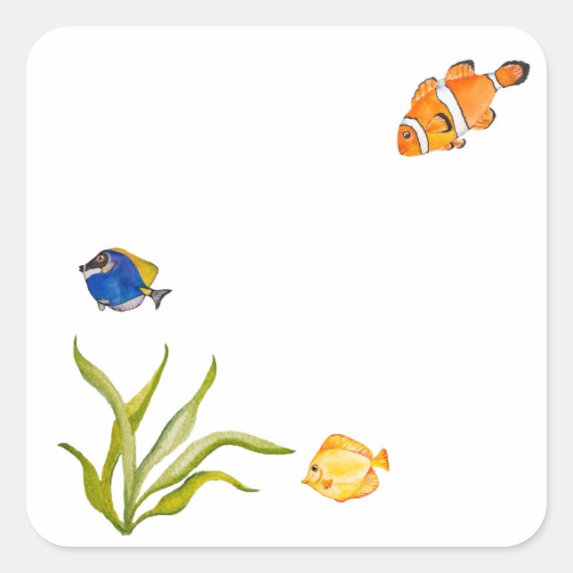 Adesivo Quadrado Peixes e algas marinhas aquícolas (Frente)