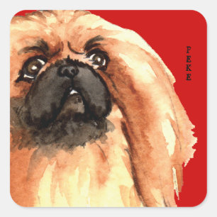 Adesivo Quadrado Pekingese Color Block