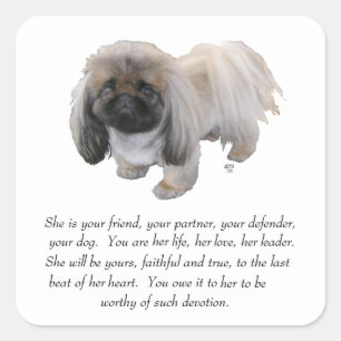 Adesivo Quadrado Pekingese Keepsasasak - FEMALE