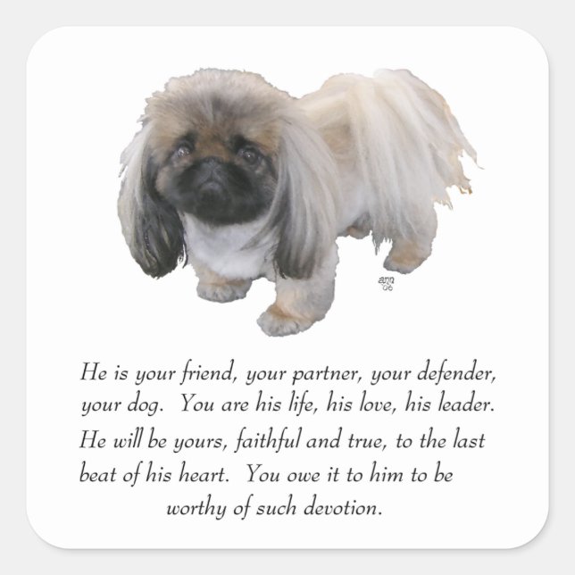 Adesivo Quadrado Pekingese Keepsasasak - MALE (Frente)