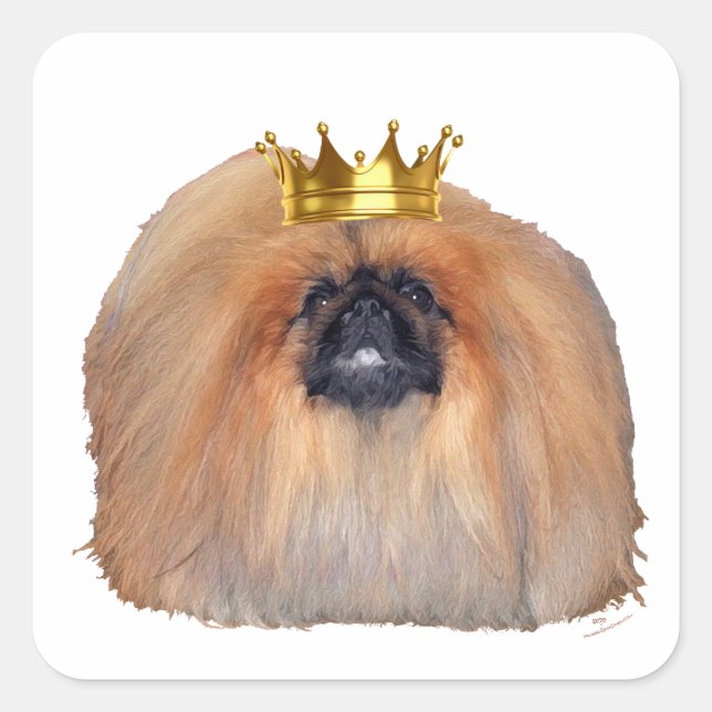 Adesivo Quadrado Pekingese King (Personalize se quiser!) (Frente)