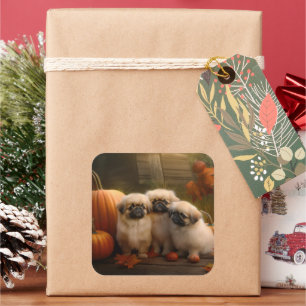 Adesivo Quadrado Pekingese Puppy Autumn Delight Pumpkin