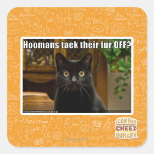 Adesivo Quadrado Pele de Hoomans Taek lá FORA?