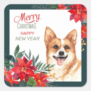 Adesivo Quadrado Pembroke Welsh Corgi Poinsettia — Natal