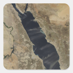 Adesivo Quadrado Penas da poeira sobre o Mar Vermelho