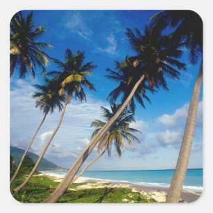 Adesivo Quadrado Península de La Samana, República Dominicana,