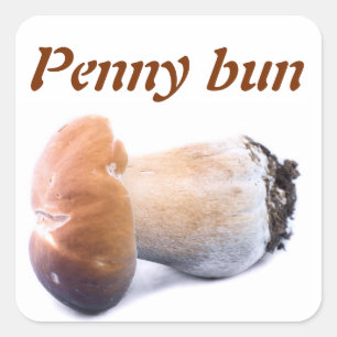 Adesivo Quadrado Penny bun