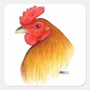 Adesivo Quadrado Pente da ervilha do veado do Gamecock