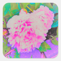 Peônias cor-de-rosa elétricas no jardim colorido