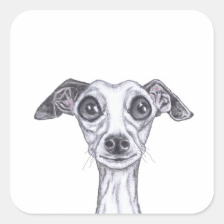 Adesivo Quadrado PEQUENO GREYHOUND ITALIANO g869