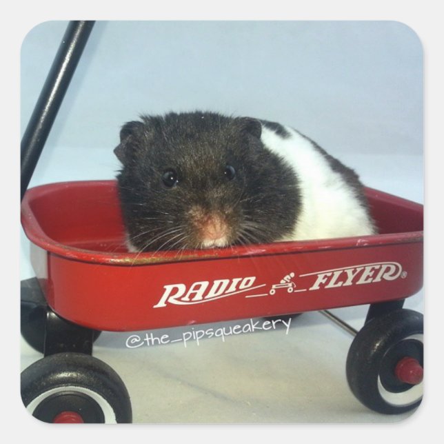 Adesivo Quadrado Pequeno Vagão Vermelho (Frente)