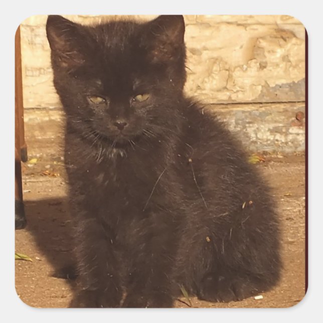 Adesivo Quadrado Pequenos Stickers Pretos (Frente)