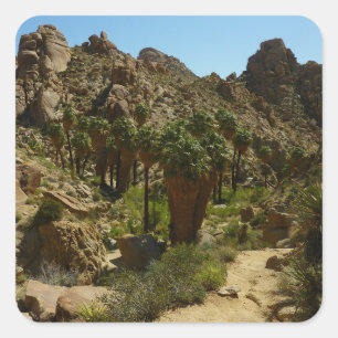 Adesivo Quadrado Perdida Palms Oasis II no Parque Nacional de Joshu