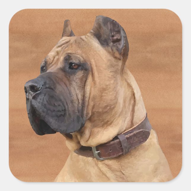 Adesivo Quadrado Perro de Presa Canario - Dogo Canario (Frente)
