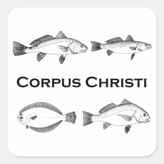 Adesivo Quadrado Pesca Corpus Christi - Peixes De Água Salgada (Frente)