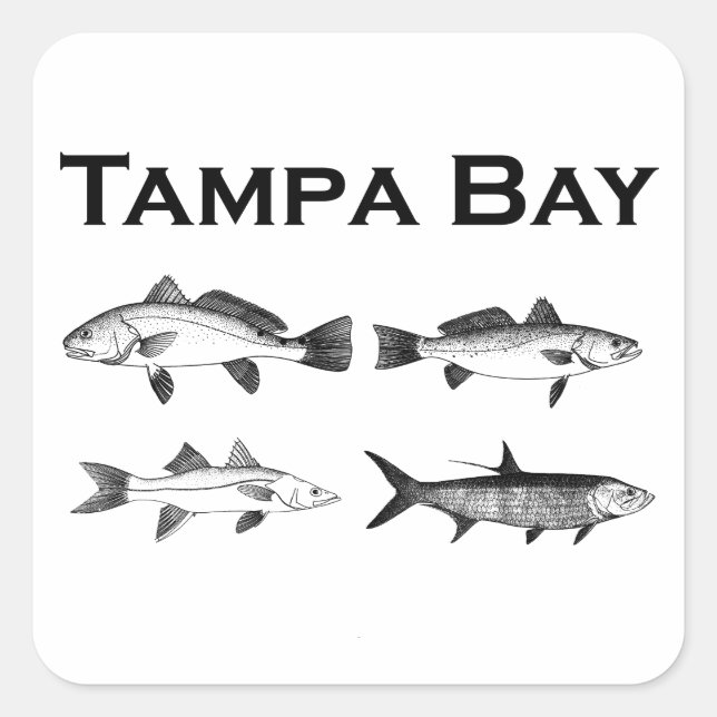 Adesivo Quadrado Pesca da água salgada de Tampa Bay (Frente)