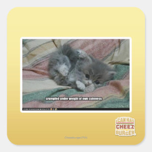 Adesivo Quadrado Peso da própria beleza