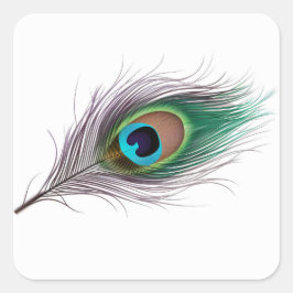 Adesivo Quadrado Peste de Peacock Realista Vibrante com Olho Negrit