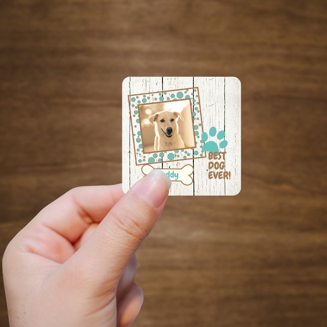 Adesivo Quadrado Pet Dog Photo Scrapbook (Criador carregado)