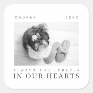 Adesivo Quadrado Pet Memorial Cote Foto Simples Moderna Chic