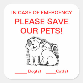 Adesivo Quadrado Pet Rescut Sticker