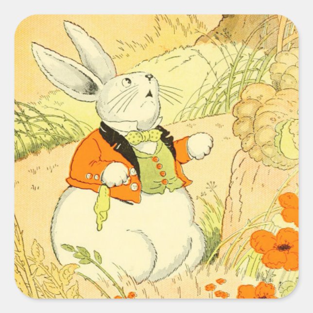 Adesivo Quadrado Peter Rabbit Sticker (Frente)
