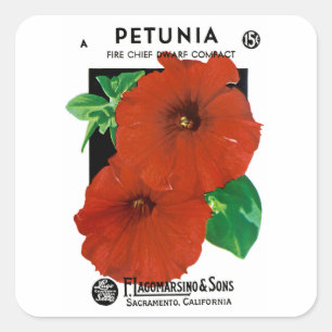 Adesivo Quadrado Petunia