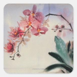 Adesivo Quadrado Phalaenopsis