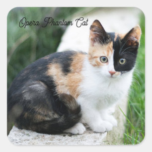 Adesivo Quadrado Phantom Ópera Cat