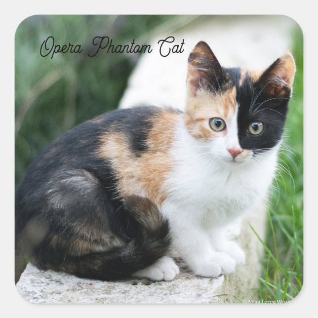 Adesivo Quadrado Phantom Opera Cat (Frente)