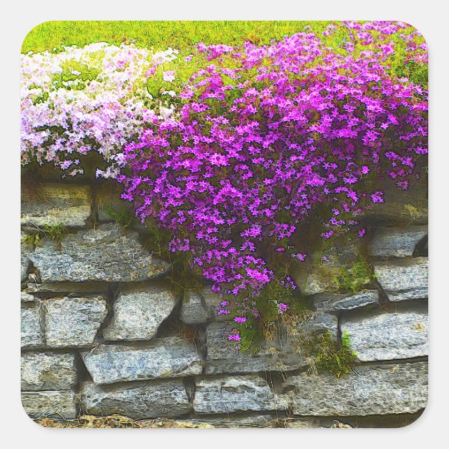 Adesivo Quadrado Phlox On Rocks Sticker (Frente)