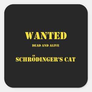 Adesivo Quadrado Piada Quântica Divertida: O Gato de Schrödinger à 