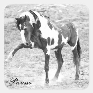 Adesivo Quadrado Picasso Mustang Stickers, Foto de Cavalo Selvagem