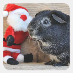 Adesivo Quadrado Pig e Papai Noel de Raposa-de-prata-branca