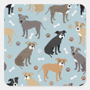 Adesivo Quadrado Pinças e ossos de Pitbull